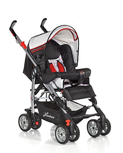 Hartan Buggy